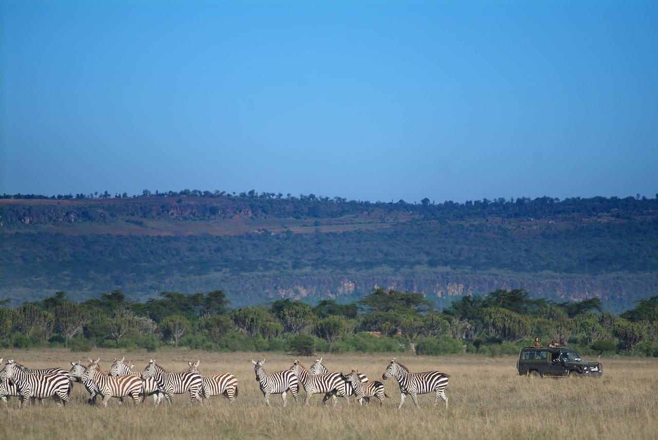 Mbweha Camp Lake Nakuru Elmenteita Exterior foto